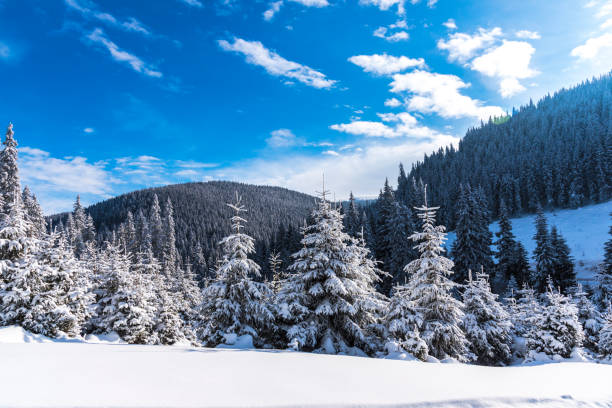 istock Winter in the mountains 909235466