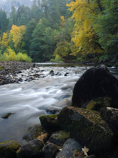 istock Fall colors in Yosemite National Park 90923958