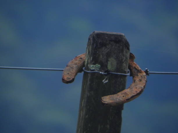 istock old rusty horseshoe hanging on the wooden pole 909240314