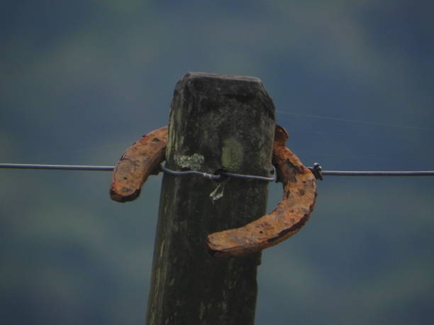 istock old rusty horseshoe hanging on the wooden pole 909240344