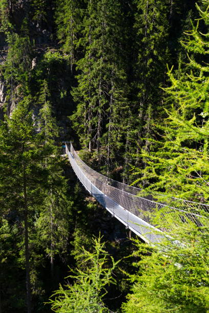 istock Suspension bridge on Alpine trail through Hell gorge, Schladming, Austria 909251112