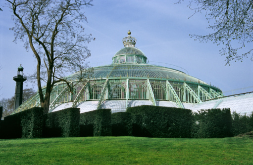 Green beds of vegetables and herbs in front of an old fashioned greenhouse.