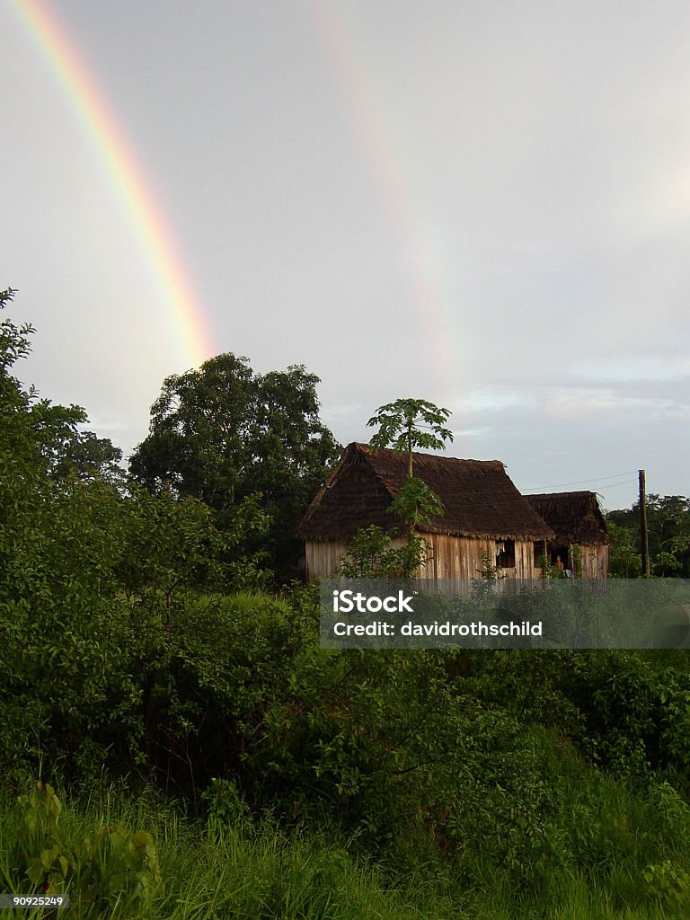 Vila da Amazônia, na Bolívia - Foto de stock de Cobertor royalty-free