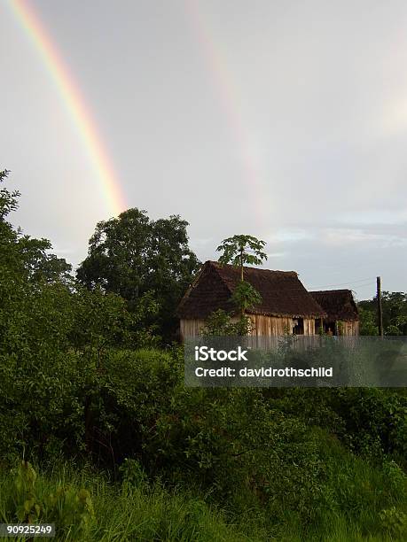 Foto de Vila Da Amazônia Na Bolívia e mais fotos de stock de Cobertor - Cobertor, Departamento de Pando, Floresta pluvial