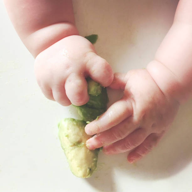 Close up of baby's hands holding an avocado