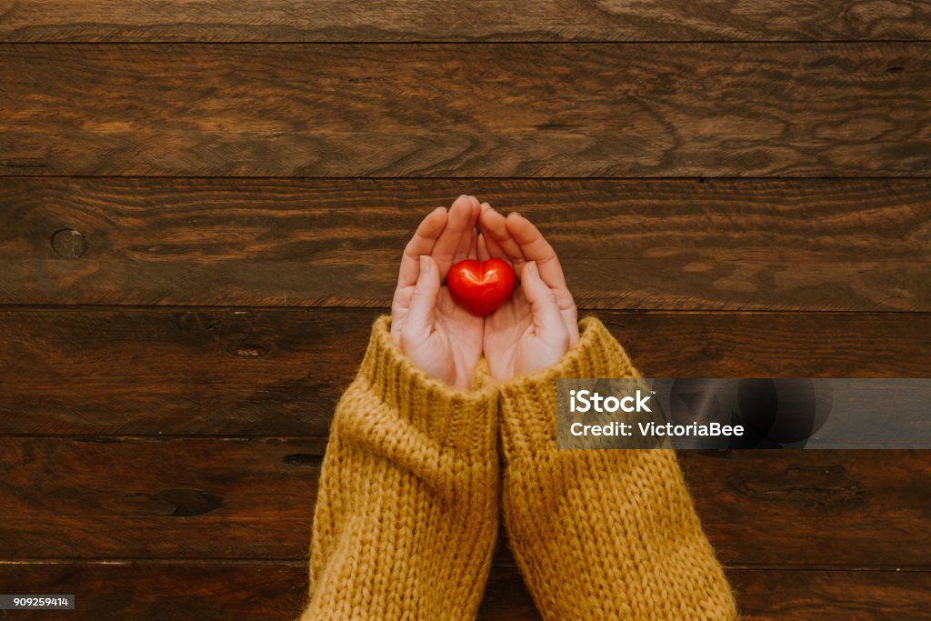 Heart at the human hands Dedication Stock Photo