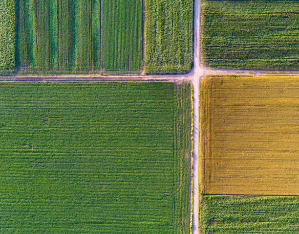 istock Abstract image of agricultural fields 909262544