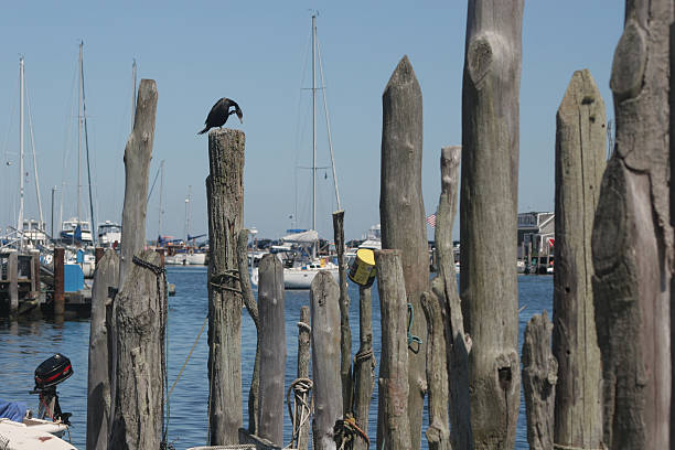 Fishing Pier stock photo