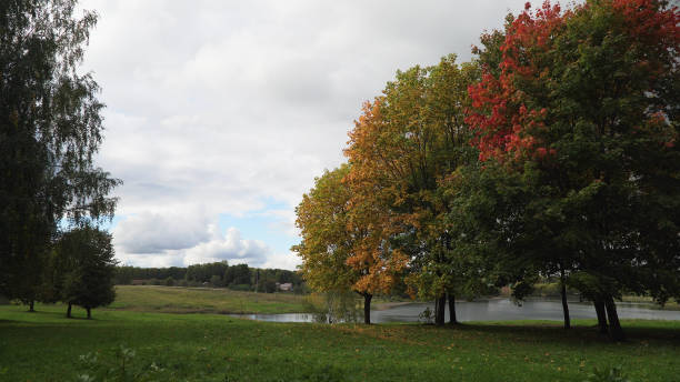 istock Autumn landscape with trees and leaves 909262974