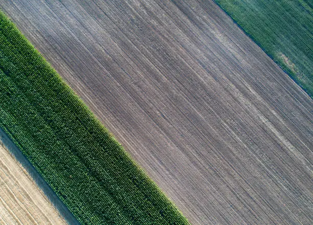 Photo of Abstract image of agricultural fields