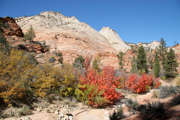 Autunno di Zion - foto stock