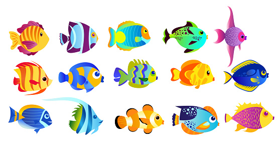 Vector illustration set of bright colors tropical fishes isolated on white background in flat cartoon style