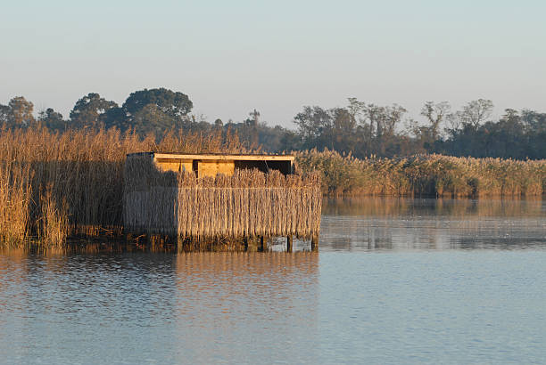 Duck Blind stock photo