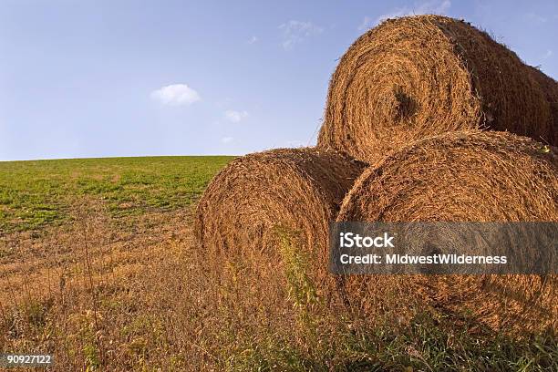 Fieno Bales - Fotografie stock e altre immagini di Agricoltura - Agricoltura, Ambientazione esterna, Autunno