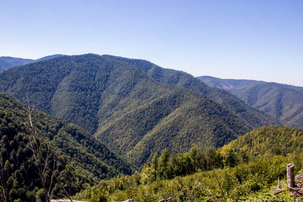 istock Duzce Turkey Black Sea Mountains 909271628