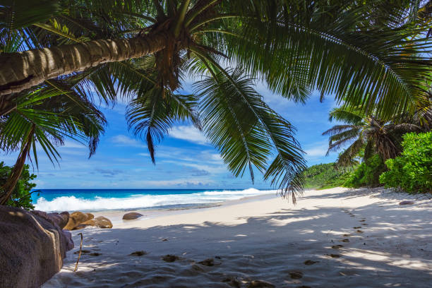 istock beautiful paradise beach, anse bazarca, seychelles 20 909273104