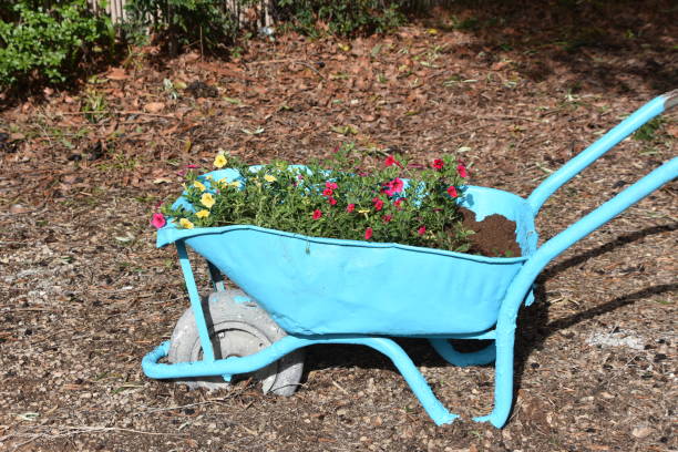 istock Old wheeel barrow with flowers and flower pot 909275286