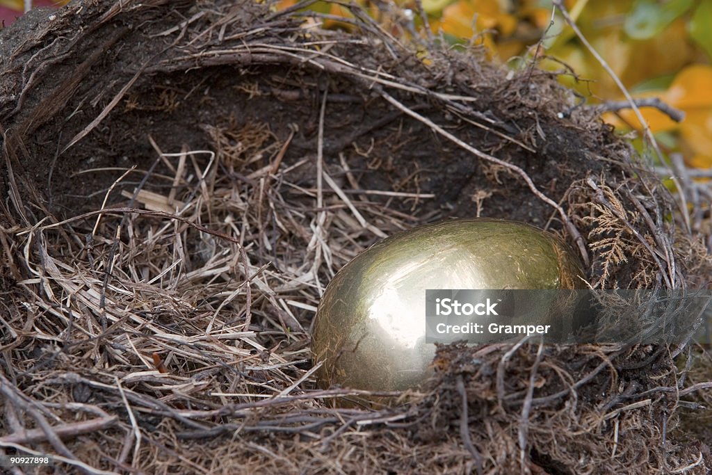 Golden Nest Egg-Modo di dire inglese - Foto stock royalty-free di Accudire