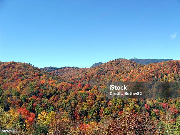 Foto de Árvores De Outono Nos Eua e mais fotos de stock de Appalachia - Appalachia, Azul, Blue Ridge Parkway