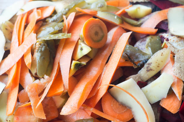 istock rotting kitchen fruits and vegetable scraps 909280668