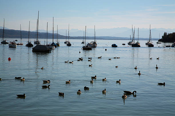 Sailboats on Ammersee in Bavaria