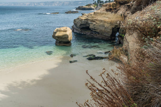 istock Diverse Beauty Graces the California Coast 909283900