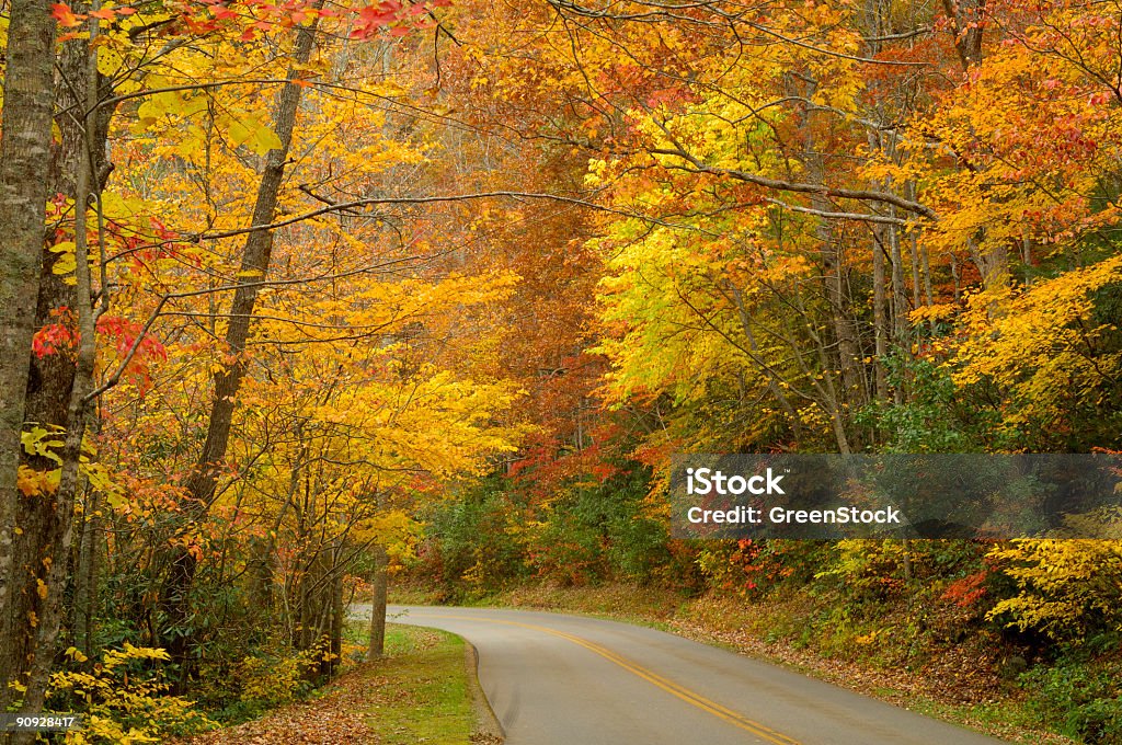 Little River Road à Great Smoky Mountains - Photo de Horizontal libre de droits