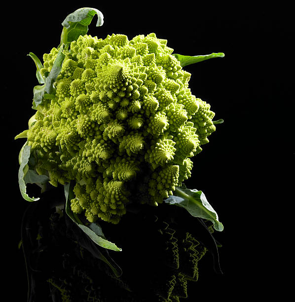 romanesco cauliflower studio shot of a fresh green romanesco cauliflower in black reflective back vermehrung stock pictures, royalty-free photos & images