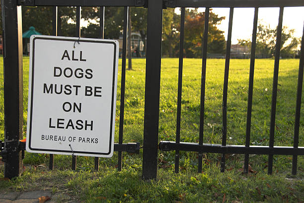 istock All Dogs Must Be On Leash 90928591