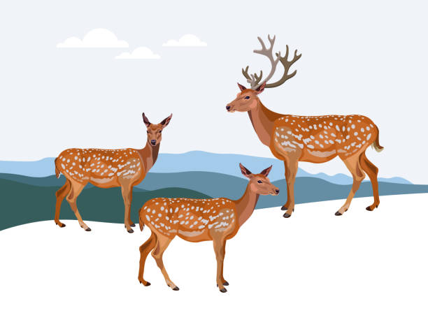 Winter landscape with deers Winter mountain landscape with deers. Vector illustration background of a doe deer stock illustrations