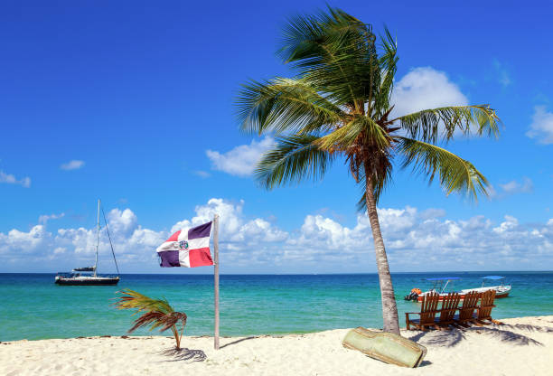 istock Caribbean beach in Dominican Republic 909287180