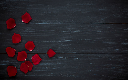 Red rose petals on wood