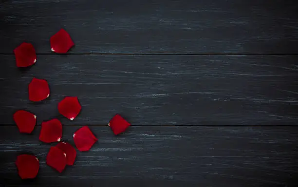 Photo of Red rose petals on wood
