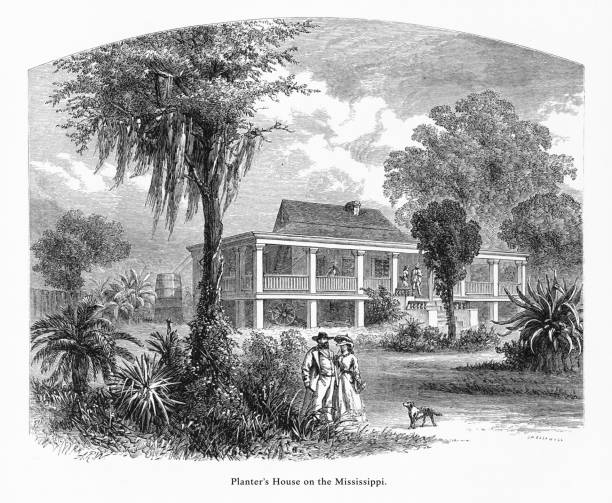 bildbanksillustrationer, clip art samt tecknat material och ikoner med planters hus på floden mississippi vid new orleans, louisiana, usa, amerikansk viktorianska gravyr, 1872 - mississippi sydstaterna