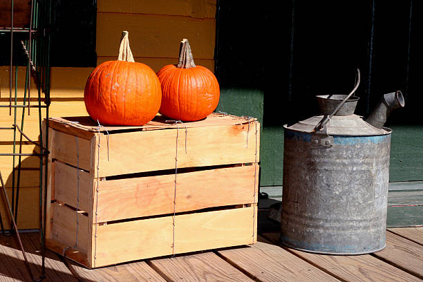 almacenar pumpkins - pumpkin simplicity rustic old fotografías e imágenes de stock