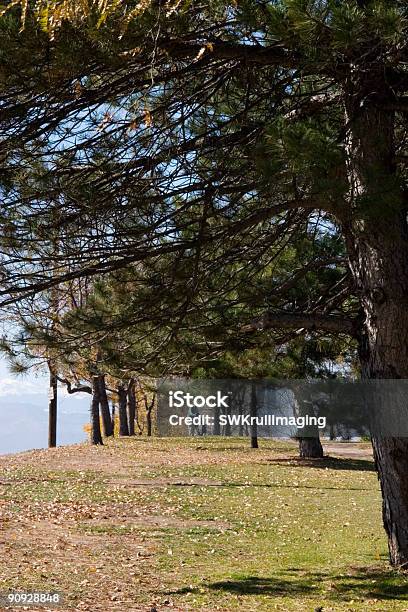 Photo libre de droit de Homme Tondre La Pelouse De Golf banque d'images et plus d'images libres de droit de Arbre - Arbre, Automne, Banlieue pavillonnaire