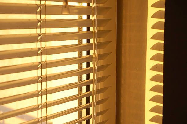 istock Golden morning 90928858