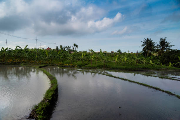 Watery Fields stock photo