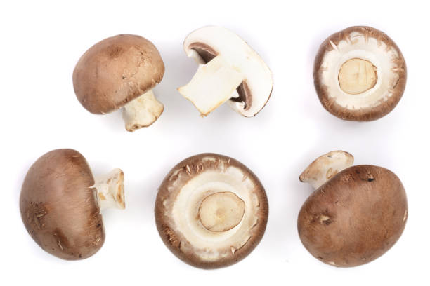 istock Fresh champignon mushrooms isolated on white background. Top view. Flat lay 909291792