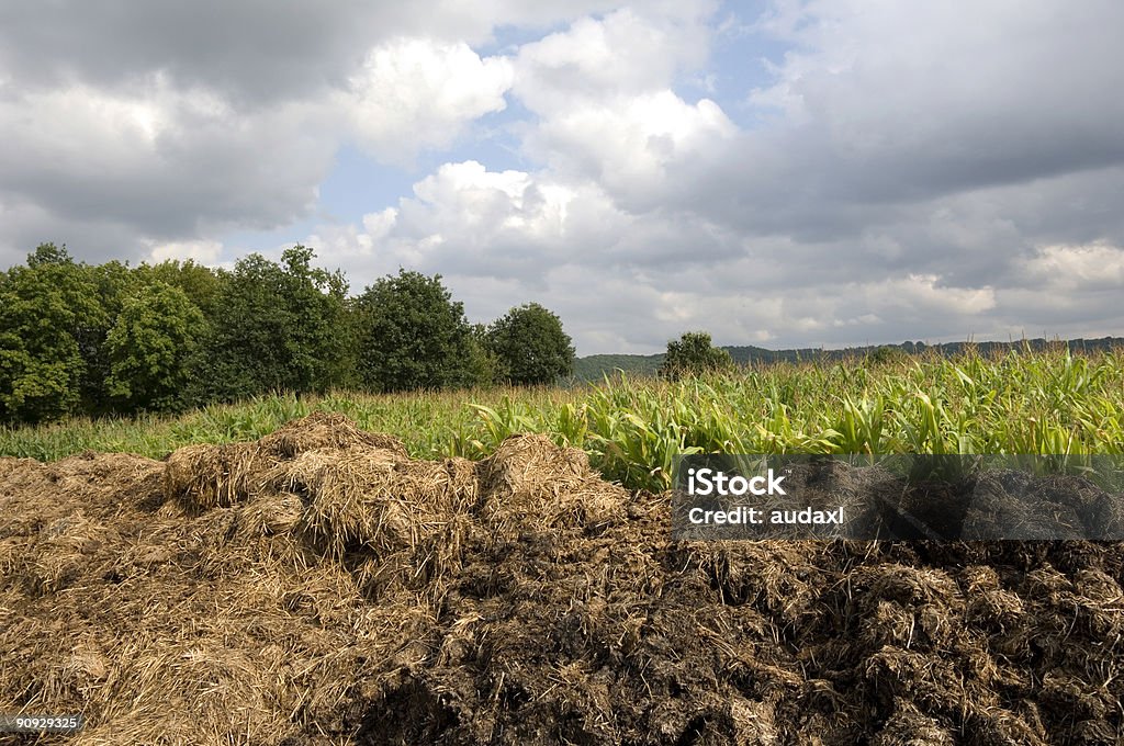 Lisier minier - Photo de Agriculture libre de droits