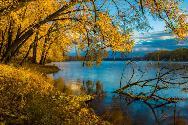 Autumn leaves before sunrise on the Connecticut River stock photo