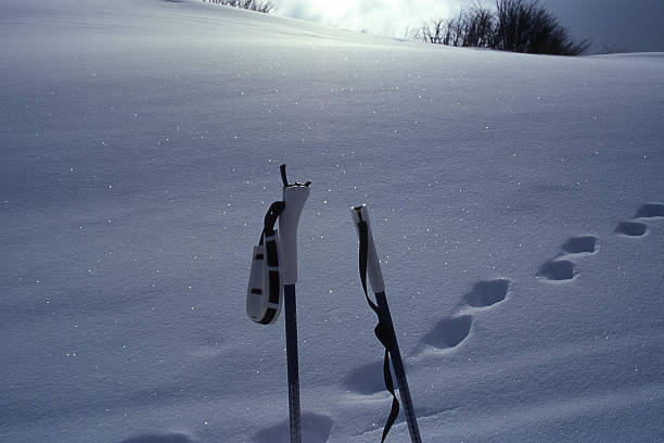 Snow tracks stock photo
