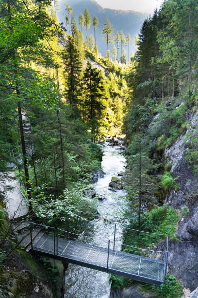 istock Footbridge on alpine trail through Hell gorge, Schladming, Austria 909307280