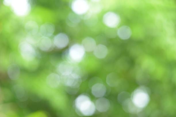 istock Green bokeh on nature art abstract. 909307470