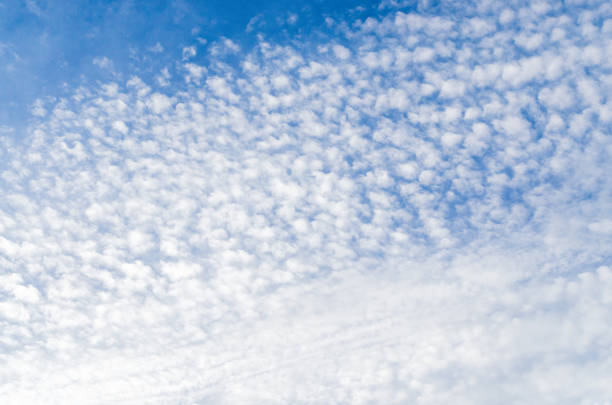wolken in den blauen himmel - cirrocumulus stock-fotos und bilder