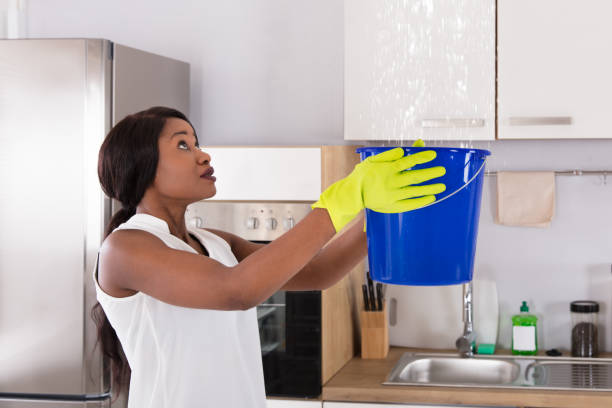 istock Woman Holding Bucket While Water Droplets Leak From Ceiling 909313518
