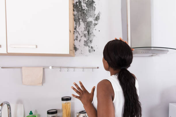 Shocked Woman Looking At Mold On Wall Close-up Of A Shocked African Woman Looking At Mold On Wall cleaning stove domestic kitchen human hand stock pictures, royalty-free photos & images