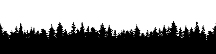 Vector illustration of a silhouette panorama of a coniferous forest. Detailed forest background