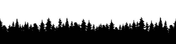 Vector illustration of a silhouette panorama of a coniferous forest. Forest background Vector illustration of a silhouette panorama of a coniferous forest. Detailed forest background pine trees silhouette stock illustrations