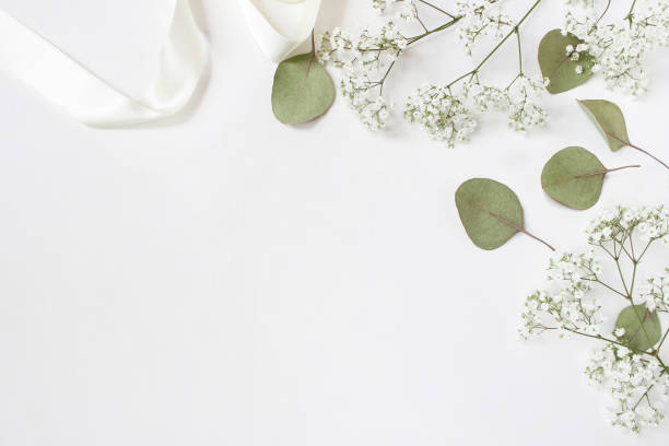 photo en stock de style. maquette de bureau féminin mariage avec des fleurs de gypsophile gypsophiles, feuilles d’eucalyptus vert sec, ruban de satin et fond blanc. espace vide. vue de dessus. photo pour blog - wedding flower decor invitation photos et images de collection